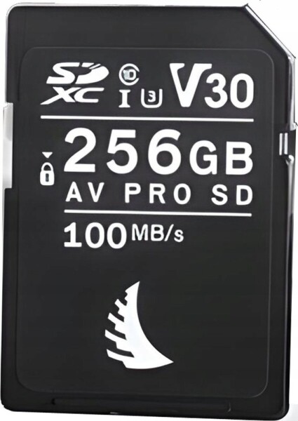 Angelbird AV Pro SDHC 256 GB UHS-I/U3 V30 (AVP256SDV30)