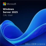 DELL MS Windows Server User CAL 2025/2022 (5 USER) / DOEM / STD or DC (634-CVFH)