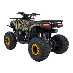 Mamido Detská benzínová štvorkolka RamiGO DISCOVERER 125CC čierno-oranžová