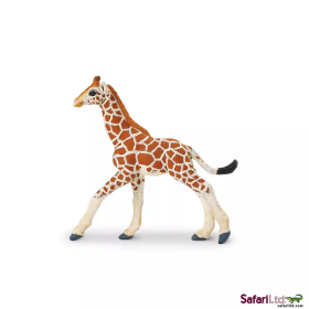 Safari Ltd. Safari Ltd. Mláďa žirafy sieťovanej
