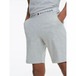 Pánske šortky JERSEY SHORT UM0UM01203004 Tommy Hilfiger