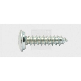 SWG 4009146163613 skrutky do nástenných štítkov 4.8 mm 19 mm krížová dražka Philips ocel pozinkované 100 ks; 4009146163613