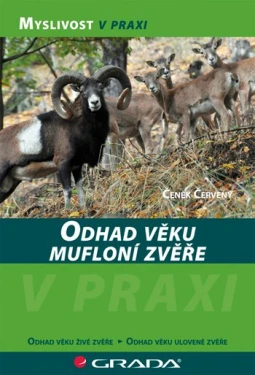 Odhad věku mufloní zvěře, Červený Čeněk
