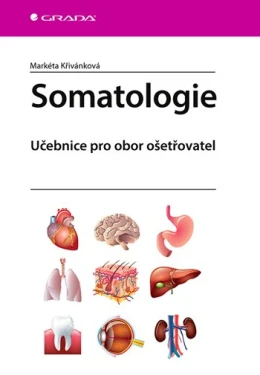 Somatologie, Křivánková Markéta