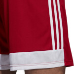 Pánske šortky 19 Adidas