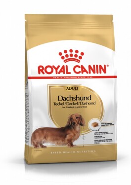 Royal Canin Adult Dachshund