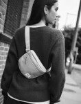 Herschel Supply Settlement Hip Pack Trellis