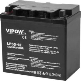 Vipow 12V 55Ah