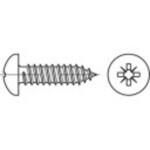 TOOLCRAFT TO-5432490 šošovkové skrutky do plechu 19 mm krížová dražka Philips ocel glavanizované zinkom 1000 ks; TO-5432490