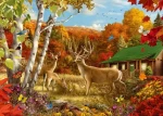 ENJOY Puzzle Niekde na poli