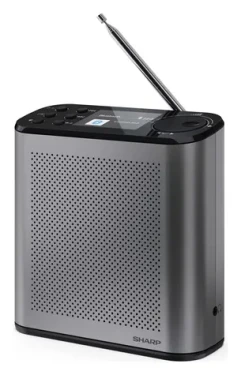 Sharp DR-P530 sivá / Prenosné rádio / DAB+/DAB/FM / Bluetooth 5.3 / výdrž 15 h (DR-P530(GY))