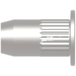 Gesipa 1433709 slepá nitovacie matice M10 Blindnietmutter St M10x12x17,5 Standard KS 0,25-3,5mm 100 ks; 1433709
