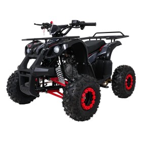 Mamido Detská benzínová štvorkolka RamiGO WILDPEAK 110CC čierno-červená