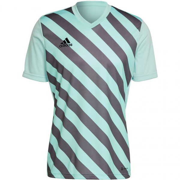 Pánsky dres Entrada 22 Graphic Jersey HF0119 Adidas