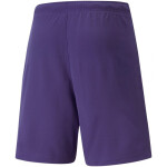 Puma teamRise Short Prist 704942 10