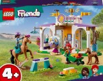 LEGO® Friends 41746 Výcvik koní