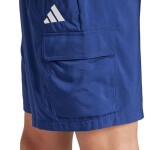 Šortky adidas Essentials Small Logo Cargo Chelsea M JF3532 L