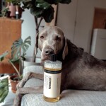 Humdakin Univerzálny čistiaci prostriedok Salvia / Sea Buckthorn 1 l