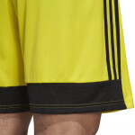 Pánske šortky Tastigo 19 DP3249 Yellow Adidas