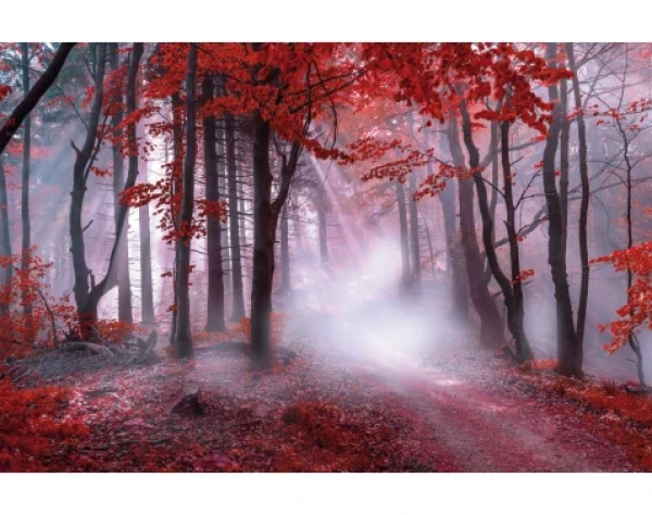 Obraz na plátne Karmínový les, 118x78 cm%