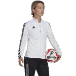 Dámske športové nohavice Tiro 23 League Training HS3513 Adidas