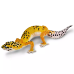 Safari Ltd. Safari Ltd. Figúrka - Gekončík nočný