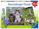 Ravensburger Mačiatka