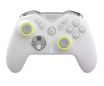 Dragonshock Controller Nebula Pre biela / Gamepad / Nintendo Switch / USB-C (DSCPNSW-WH)