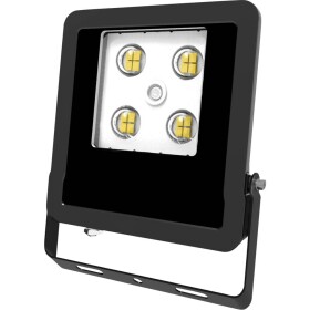 EVN EVN Lichttechnik LFE100902 LED svetlomety 10 W teplá biela; LFE100902