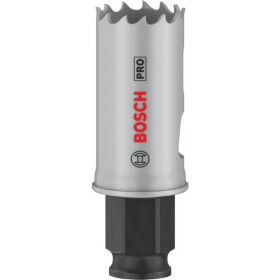 Bosch Home and Garden 2608594371 2608594371 vŕtacia korunka 24 mm 1 ks; 2608594371