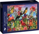 BlueBird Puzzle Vtáky v rozkvitnutej záhrade