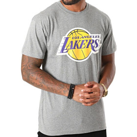 Mitchell Ness NBA Los Angeles Lakers Tímové tričko logom BMTRINTL1268-LALGYML tričko