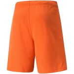 Pánske krátke nohavice TeamRise Short Prist 704942 08 Puma