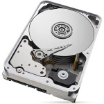 Seagate IronWolf 12TB, ST12000VN0008