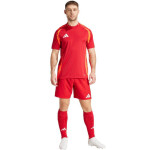 Šortky adidas Tiro 24 Competition Training M IK2245 2XL