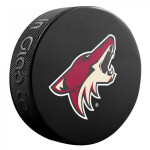 Pamätný hokejový puk Inglasco NHL Basic 510AN000400 Detroit Red Wings