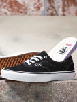 Vans Skate Era black white 21