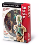 Learning Resources Learning Resources Anatomický model ľudského tela