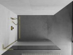 MEXEN/S - Kioto L Sprchová zástena WALK-IN 100 x 200, transparent/dekor, zlatá 800-100-103-50-35