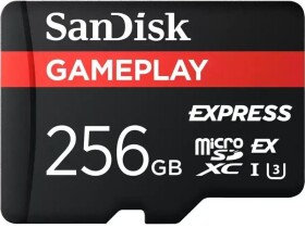 SanDisk GamePlay MicroSDXC 256 GB Class 10 UHS-I/U3 V30 (SDSQXFN-256G-GN6GN)