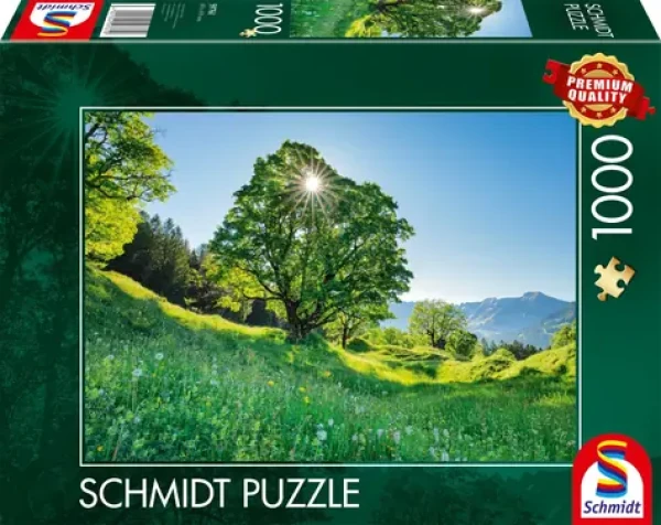Schmidt Puzzle Platan