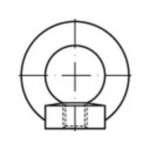 TOOLCRAFT TO-9981873 závesné oká M20 DIN 582 ocel pozinkované žiarom 10 ks; TO-9981873