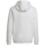 Entrada 22 Hoody Jr Adidas