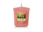 Yankee Candle The Last Paradise vonná sviečka votívna 49g / doba horenia: až 15h (5038581111100)