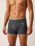 Hladké pánské boxerky model 18037558 - Redo Barva: směs barev, Velikost: M