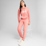 Puma ESS No.1 Logo Hoodie W 682391 18 S