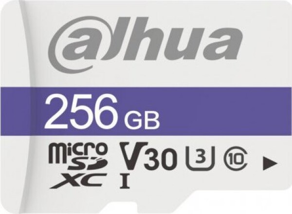 Dahua Technology TF-C100 MicroSDXC 256 GB Class 10 U3 V30 (TF-C100/256GB)