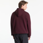 Mikina Lacoste Hoodies Oxalis 6