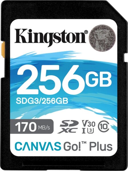 Kingston Canvas Go! Plus SDXC 256 GB Class 10 UHS-I/U3 V30 (SDG3/256GB)