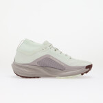 Tenisky NIke ACG Pegasus Trail GORE-TEX Barely Green/ Light Bone-Silver Lilac EUR 40